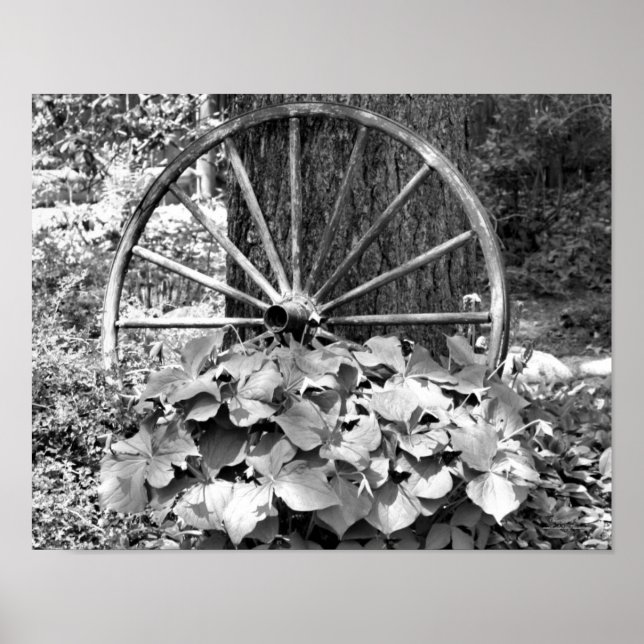 Old Wagon Wheel Garden Black And White  Poster (Front)