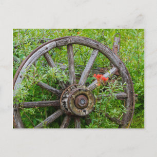 Old wagon wheel in historic old gold town 3 postcard