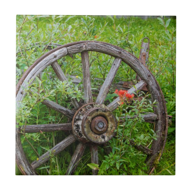 Old wagon wheel in historic old gold town 3 tile (Front)