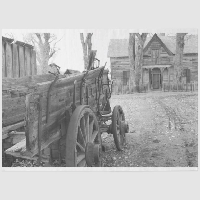 Old West  Tissue Paper (Front)