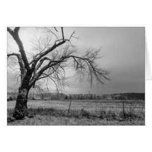 Old Winter Tree Grayscale