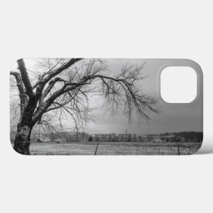 Old Winter Tree Grayscale iPhone Case