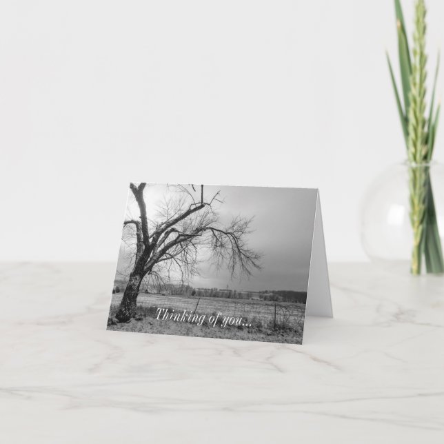 Old Winter Tree Grayscale Thinking Of You Card (Front)