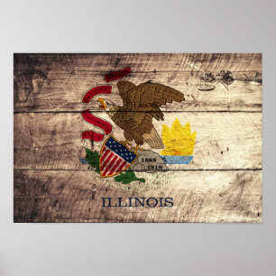 Old Wood Illinois Flag; Poster
