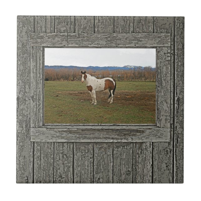 Old wood window paint horse tile (Front)