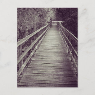Old Wooden Boardwalk Postcard