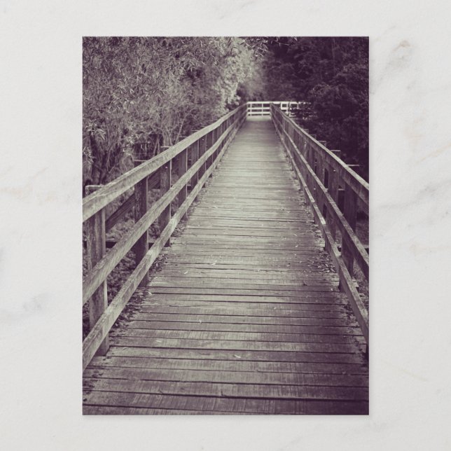 Old Wooden Boardwalk Postcard (Front)