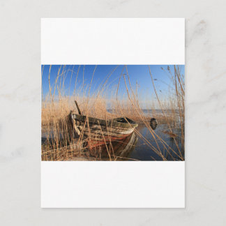 Old wooden boat in the reeds postcard