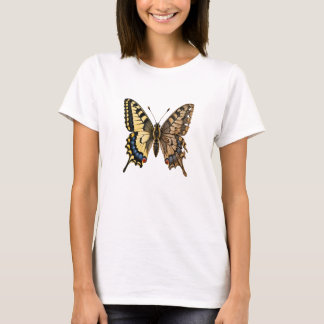 Old World Swallowtail Butterfly Wing Made of Aged T-Shirt