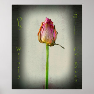 Old, Wrinkly, Still Gorgeous! Poster