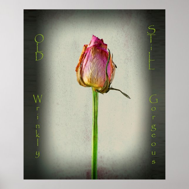 Old, Wrinkly, Still Gorgeous! Poster (Front)