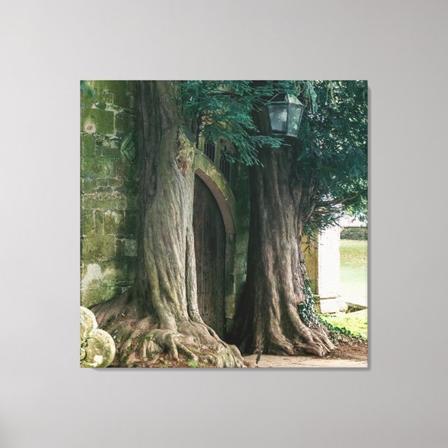 Old Yew Trees Canvas Print (Front)