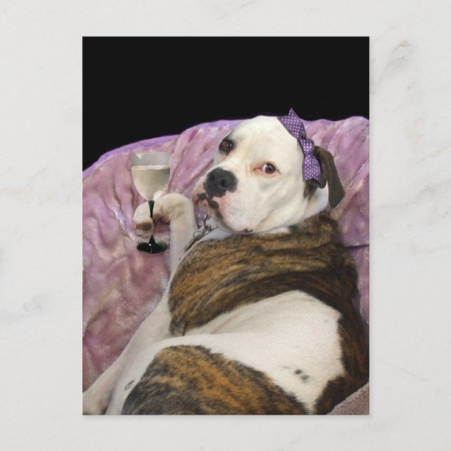 olde english bulldogge postcard (Front)