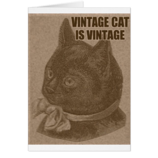Olde LOLcat (Front)