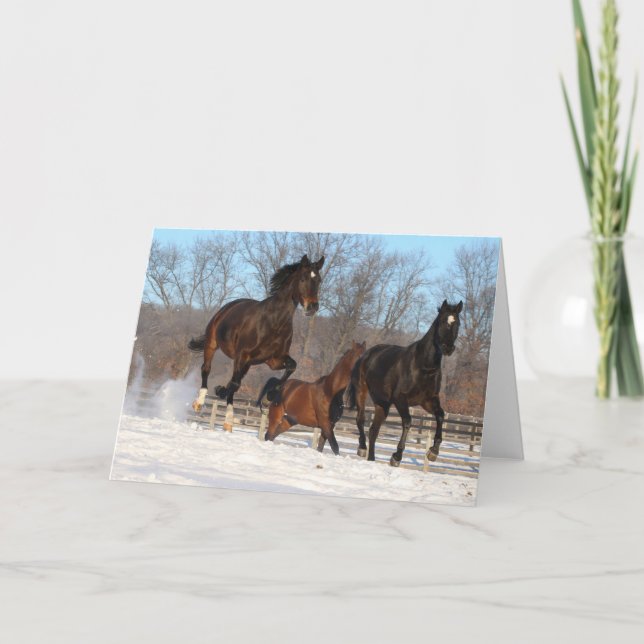 Oldenburg and Hanoverian Mares In Snow Card (Front)