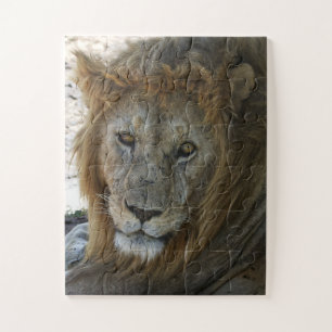 Older Lion Wild Animal Jigsaw Puzzle