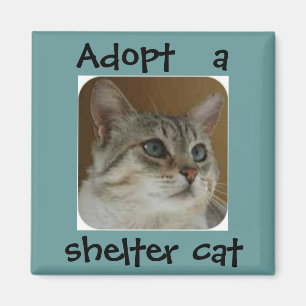 Ole Blue Eyes Magnet