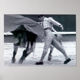 ole! poster