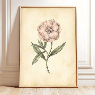 Oleander Botanical Vintage Canvas Art Poster