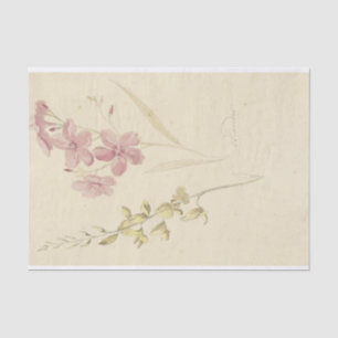 Oleander en Brem by Elias van Nijmegen Tissue Paper