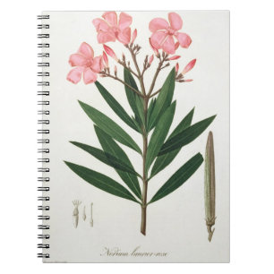 Oleander from 'Phytographie Medicale' by Joseph Ro Spiral Notebook