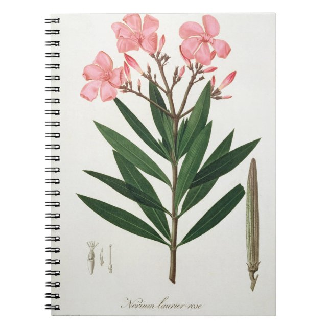 Oleander from 'Phytographie Medicale' by Joseph Ro Spiral Notebook (Front)