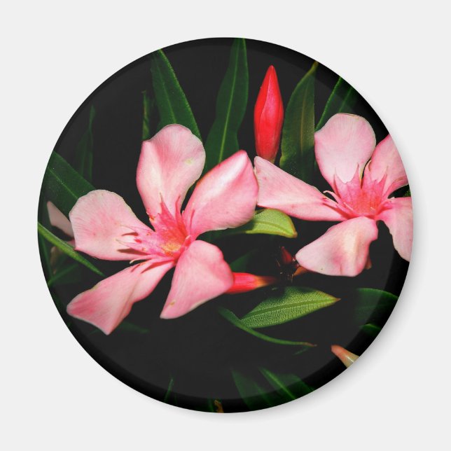 Oleander Magnet (Front)