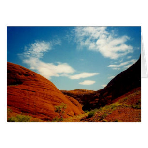 olgas
