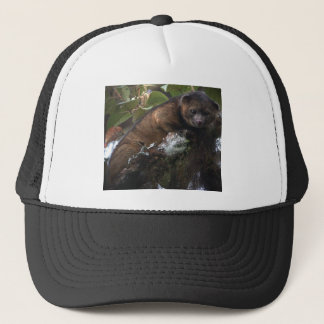 Olinguito (Bassaricyon neblina) new mammal Trucker Hat