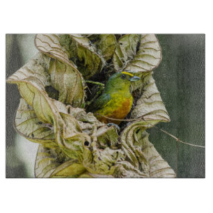 Olive Backed Euphonia, Wildlife Avian Photography Cutting Board