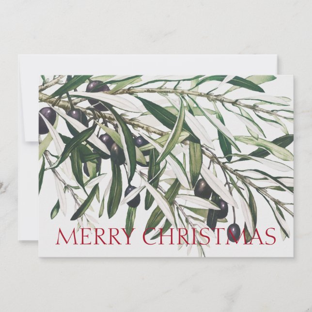 OLIVE BRANCH MERRY CHRISTMAS GREETING CARD (Front)