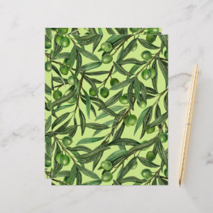 Olive branches on honeydew green