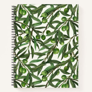 Olive branches on off white notebook