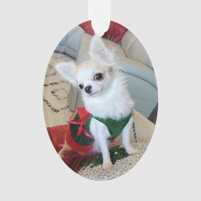 Olive Christmas Ornament 2024 (Front)