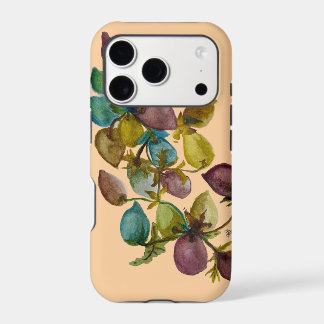 Olive cluster