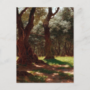 Olive Forest in Cap Saint Martin Holiday Postcard
