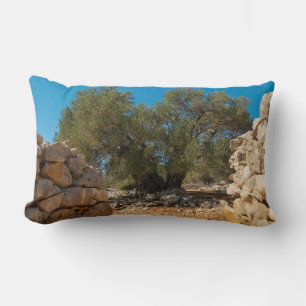 Olive Gardens of Lun Lumbar Cushion
