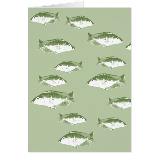 Olive green fish (Front)