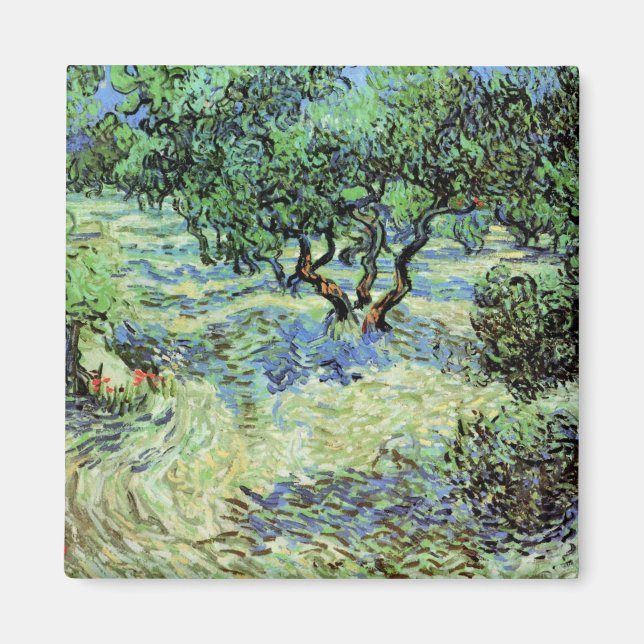 Olive Grove by Vincent van Gogh Magnet (Front)