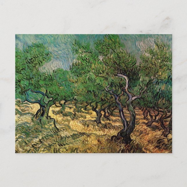 Olive Grove by Vincent van Gogh Postcard (Front)