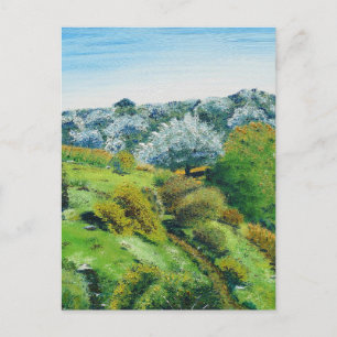 Olive Grove Postcard