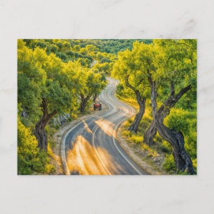 Olive Grove with Old Tractor at Evening Road Holiday Postcard
