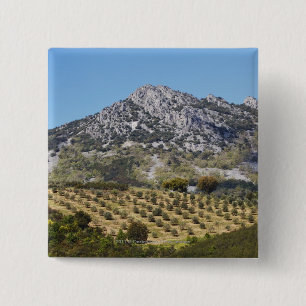 Olive Groves 15 Cm Square Badge