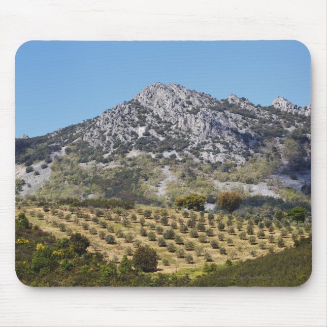 Olive Groves Mouse Pad (Front)