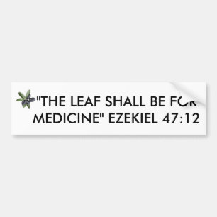 OLIVE LEAF BUMPER STICKER