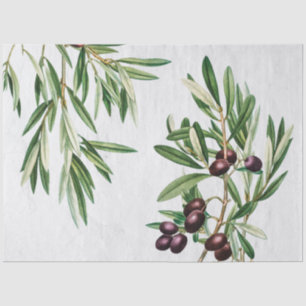 Olive Leaves Mediterranean Greek Island Tissue Paper