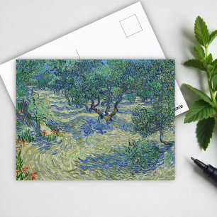 Olive Orchard, Vincent van Gogh Postcard