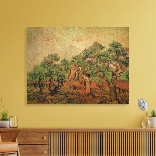 Olive Picking by Vincent van Gogh Canvas Print