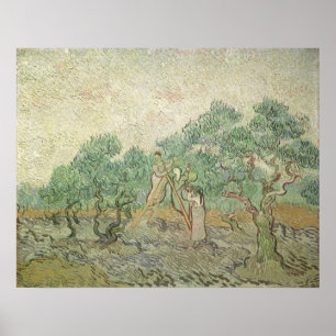 Olive Picking by Vincent van Gogh, Vintage Art Poster