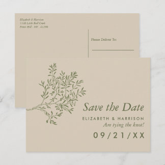 Olive Tree Branch, Rustic Wedding Save the Date Announcement Postcard